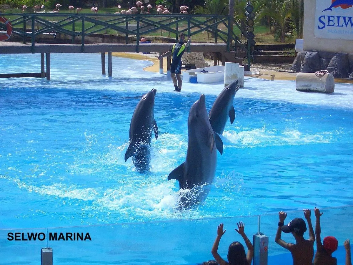 شقة Estudio Jupiter Benalmadena Cerca Playa 0*,  إسبانيا